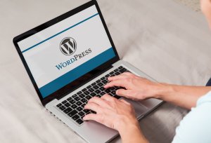Chicago WordPress Web Design