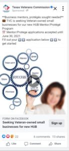 Government ad example 3